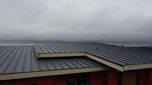 Professional Roofing Contractor in Parshall, ND